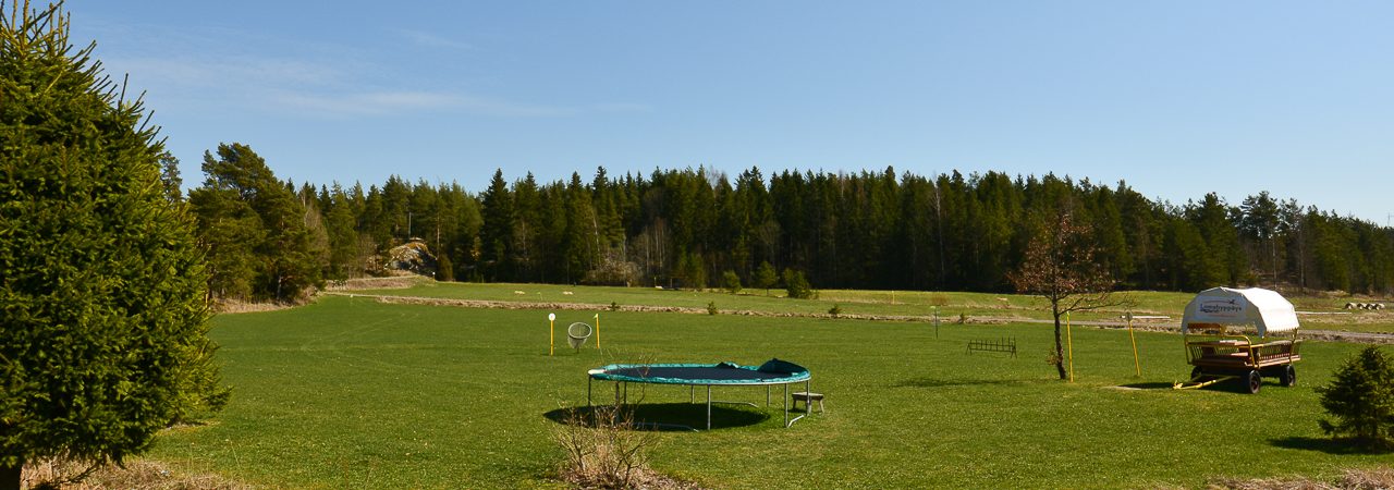 Poikkea